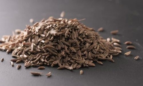 360_F_507227382_iFqikQ6htIVwwIHZLUVGquk9IFA7Z8PT