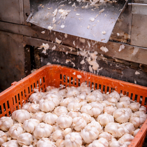 3d2e83b5-a40e-4df8-bc67-e4b300bced53